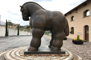 International Press Trip to Marche