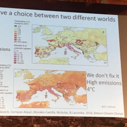 IMG_3372