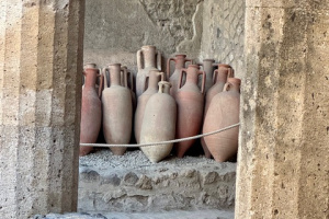 SEPTEMBER 6–8, 2025 – Pompeii Archaeological Park, coordinato for International buyers and Old Vine Conference Italy producers 
