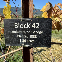 Sonoma-storico-vigneto