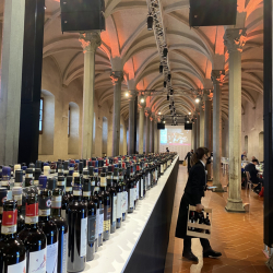 Chiostro-Santa-Maria-Novella2