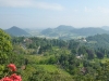p1030167_800x600