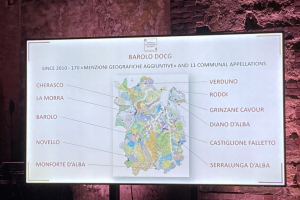 Grandi Langhe Piemonte April 2022