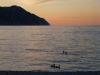 p1040112_800x600