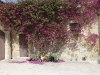 p1020894_800x600