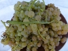 garganega