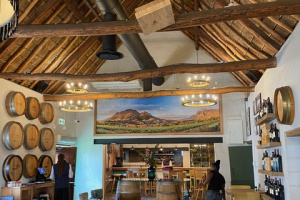 South Africa - Michelangelo Awards Competition 2022 & visiting the Old VIne Project - August 2022