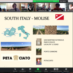 Screen Shot 2020-07-30 at 12.35.28