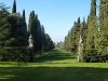 p1030958_800x600